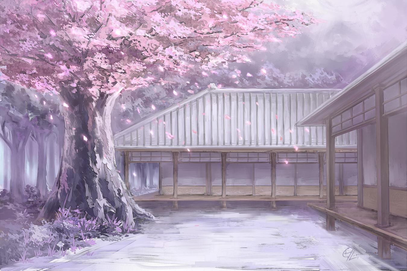 sakura